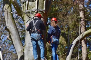 Père avec son enfant sur un parcours accrobranche dans une forêt près du Mont Ventoux