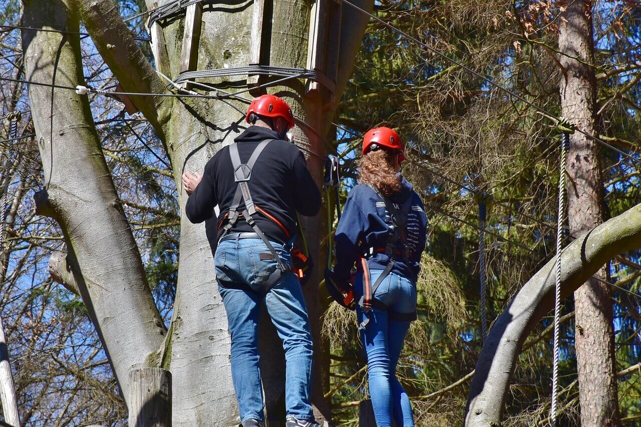 Accrobranche près de Brantes : aventure en forêt au pied du Mont Ventoux