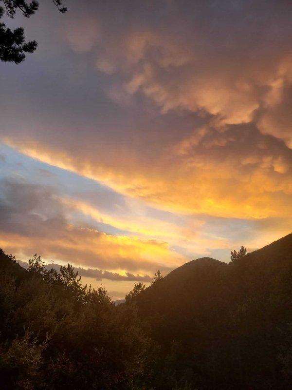 Couché de soleil orange